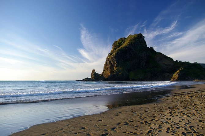 Piha Waitakere Rainforest Wine Tour From Auckland - Review Highlights