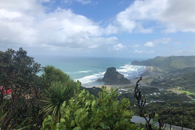 Piha Waitakere Rainforest Wine Tour From Auckland - Scenic Destinations