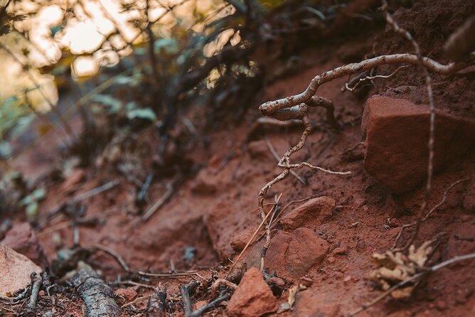 Pikes Peak COG Railway & Garden of Gods Tour - Lunch Included - Traveler Reviews