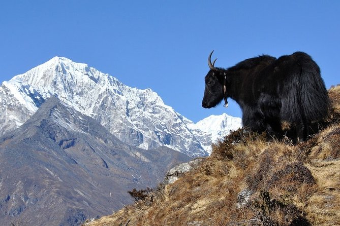 Pikey Peak Trek Everest View - Excluded Services
