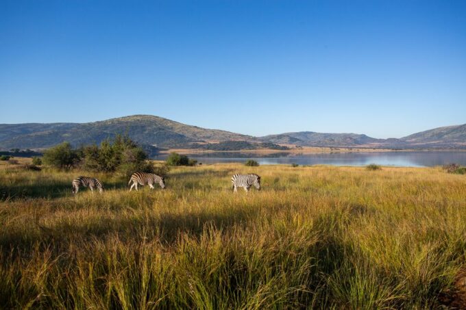 Pilanesberg: 2 Day 3-Star Pilanesberg Safari - Frequently Asked Questions