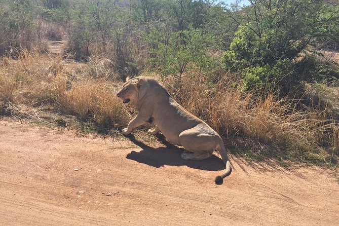 Pilanesberg Camping Safari From Johannesburg - Practical Details