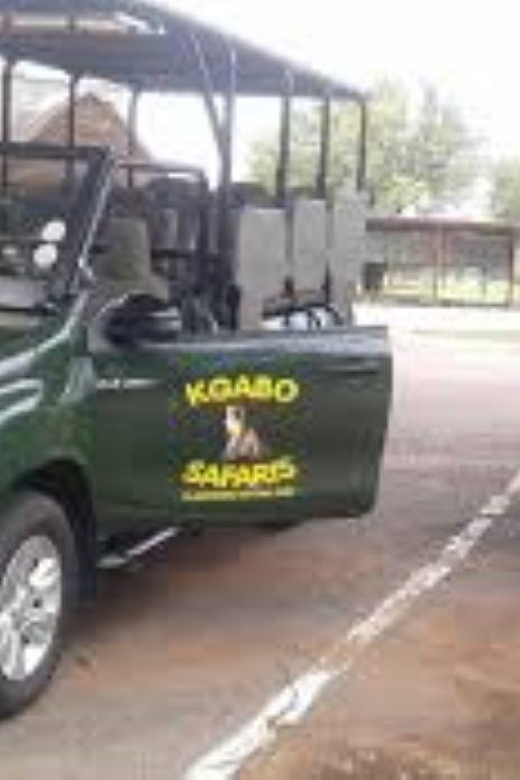 Pilanesberg : Evening Night Safari Drive - Safari Details