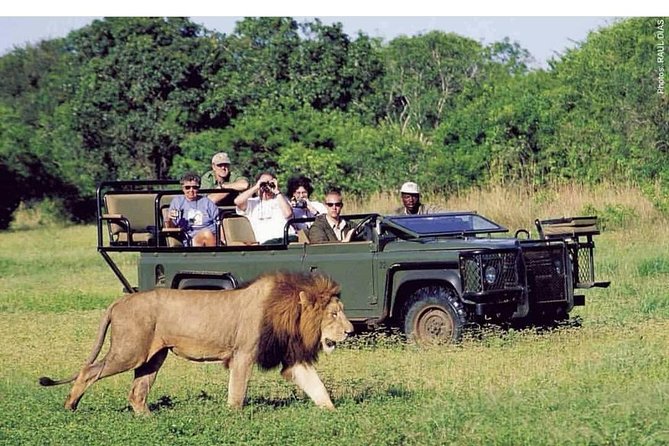 Pilanesberg Full Day Safari Private - Wildlife Viewing Opportunities