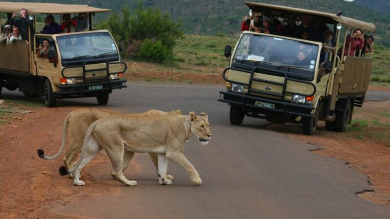 Pilanesberg Full-Day Shared Safari With Sun City Visit - Key Points