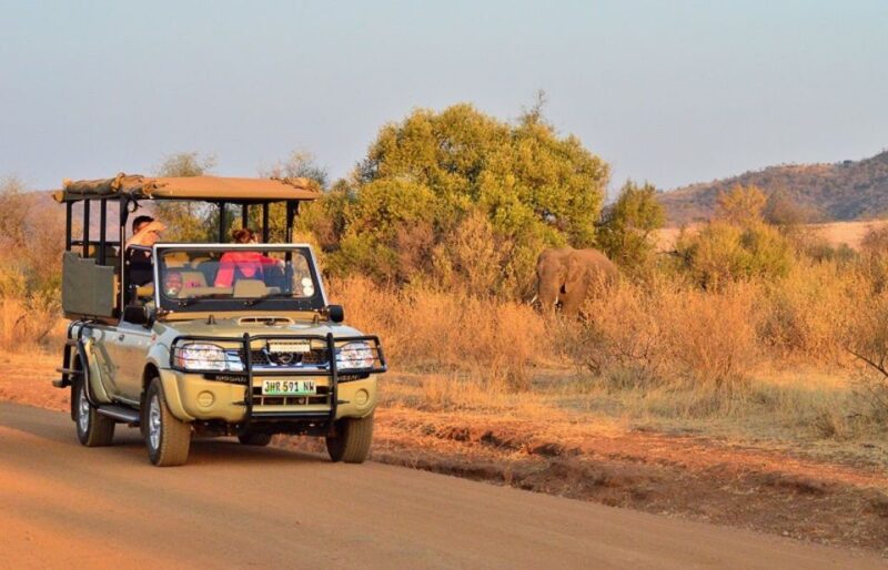 Pilanesberg Full-Day Shared Safari With Sun City Visit - Pilanesberg National Park Experience