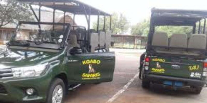 Pilanesberg : Game Drive With Lunch - Manyane Gate - Wildlife Experience