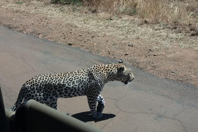 Pilanesberg Game Reserve Guided Day Tour From Johannesburg or Pretoria - Exclusions and Considerations