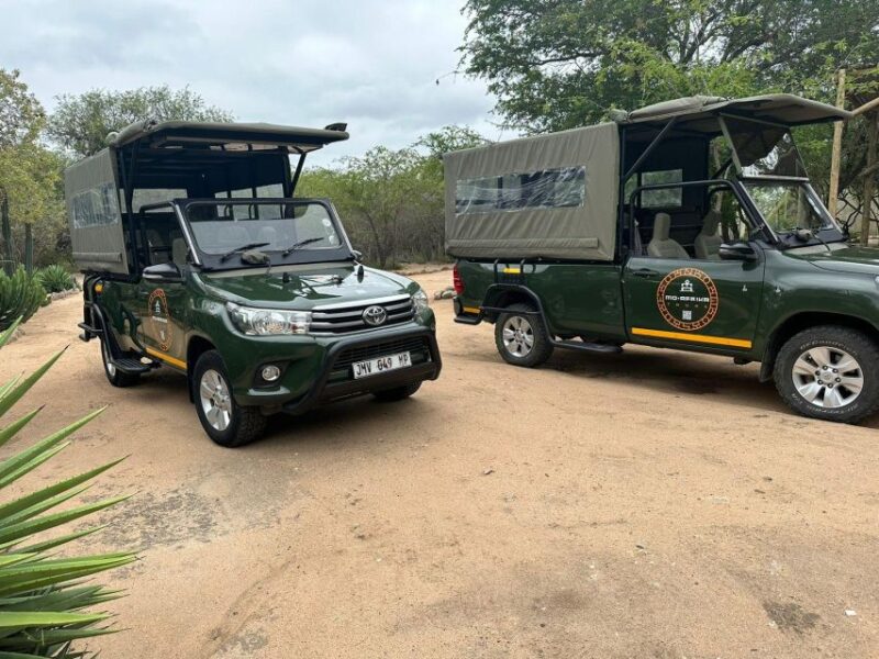 Pilanesberg Morning or Afternoon 3 Hour Game Drive - Spotting the Elusive Big 5