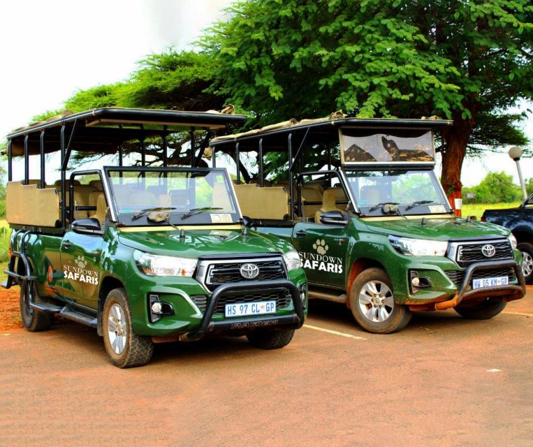 Pilanesberg Morning or Afternoon 3 Hour Game Drive - Guided Safari Tour Experience