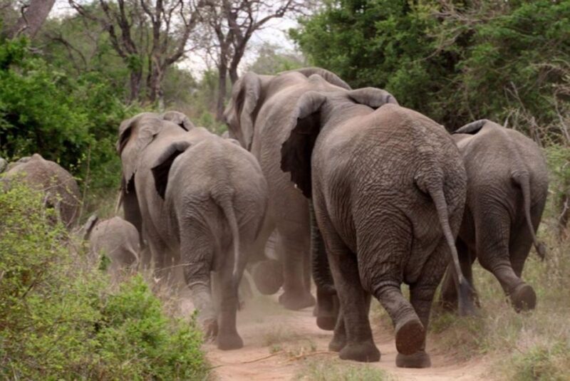 Pilanesberg National Park 2 Days - Accommodation Options