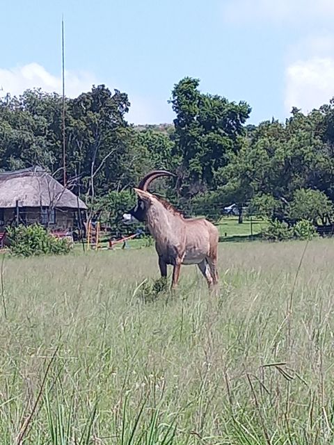 Pilanesberg National Park - Pilanesberg Landscape and Terrain