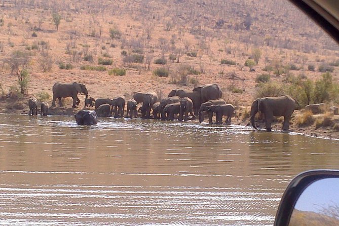 Pilanesberg National Park Day Tour From Pretoria, Every SATURDAY - Included Amenities