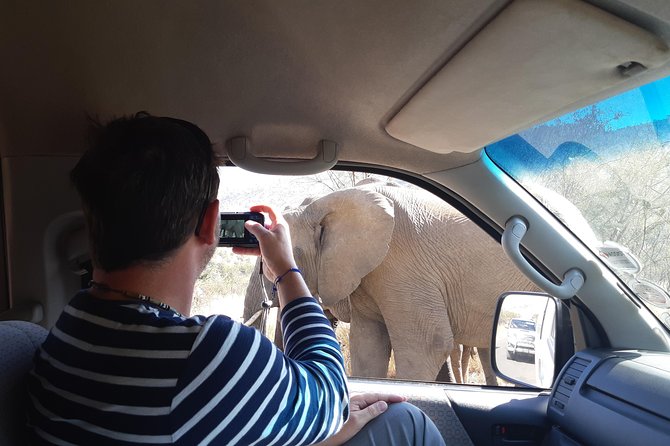 Pilanesberg National Park Day Tour From Pretoria, Every SATURDAY - Tour Experience