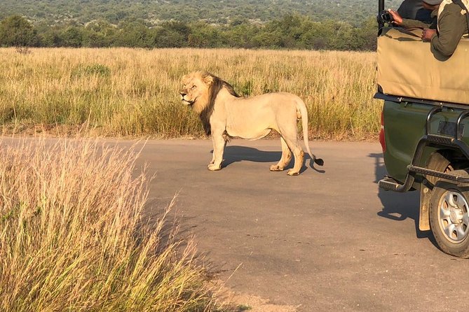 Pilanesberg National Park Full Day Safari From Johannesburg - Pickup Information