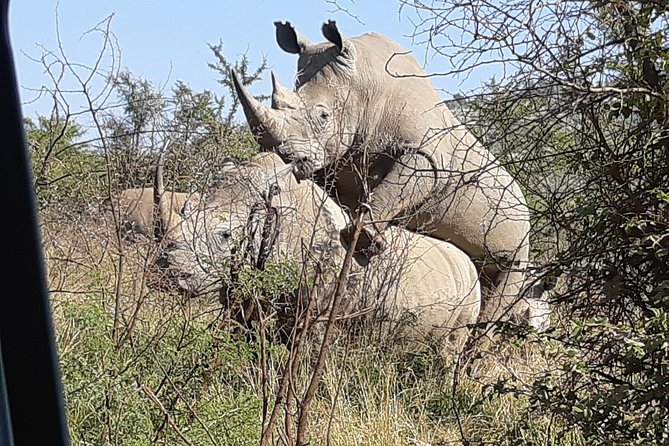 Pilanesberg National Park Full-Day Tour From Johannesburg - Reviews and Ratings