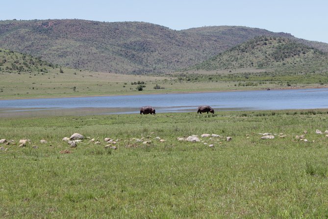 Pilanesberg National Park Full-Day Tour From Johannesburg - Booking Information