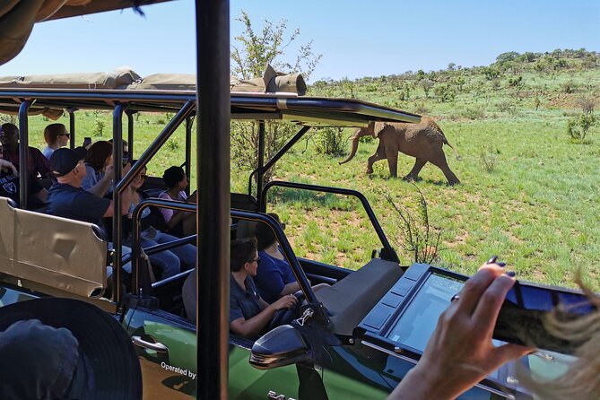 Pilanesberg National Park Safari From Johannesburg - Pricing Information