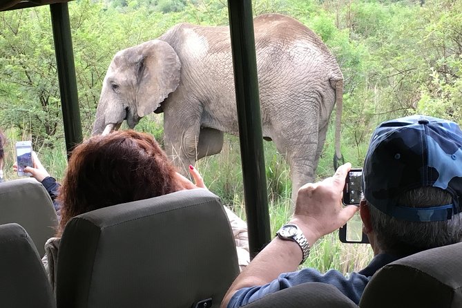 Pilanesberg National Park Safari From Johannesburg - Cancellation Policy