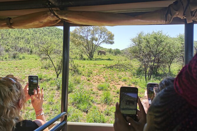 Pilanesberg National Park Safari From Johannesburg - Reviews and Feedback