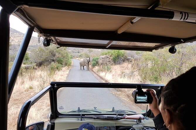 Pilanesberg National Park Safari From Johannesburg - Questions About Your Stay