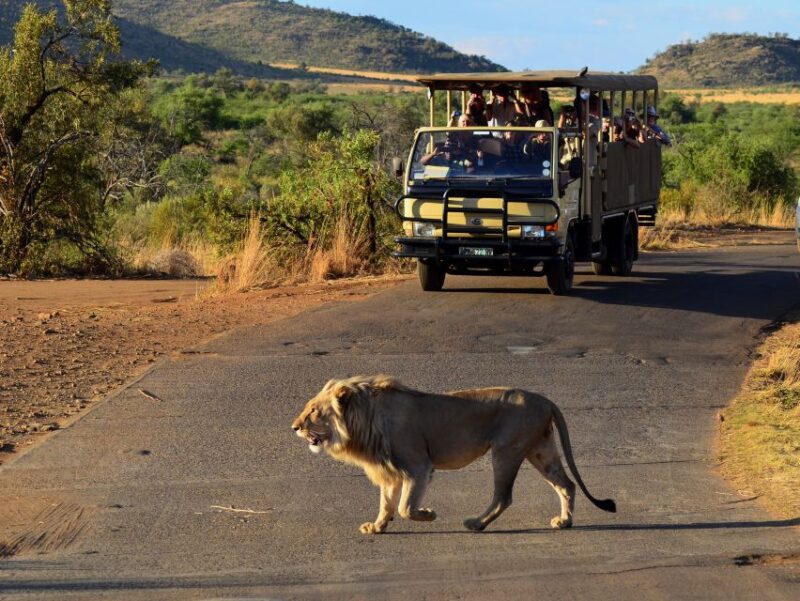 Pilanesberg National Park/Sun City Hot Air Balloon Safari - Key Points