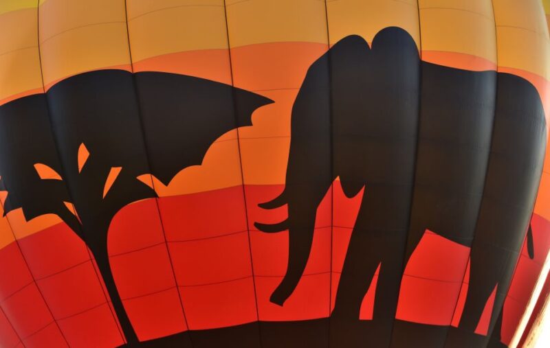 Pilanesberg National Park/Sun City Hot Air Balloon Safari - Highlights of the Safari