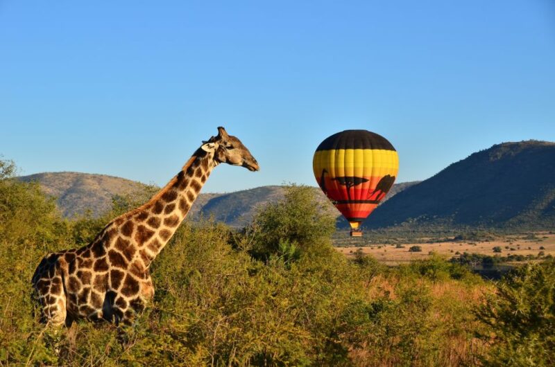 Pilanesberg National Park/Sun City Hot Air Balloon Safari - Inclusions and Exclusions