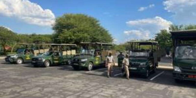 Pilanesberg : Private Game Drive - 10 Seater - Pilanesberg National Park Highlights