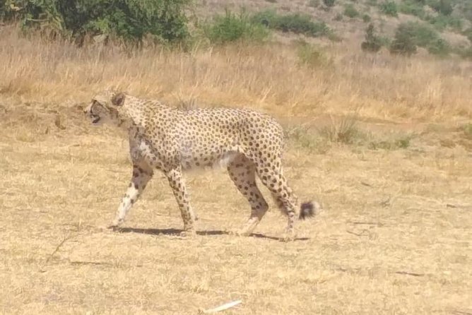Pilanesberg Safari Fullday - Cancellation Policy