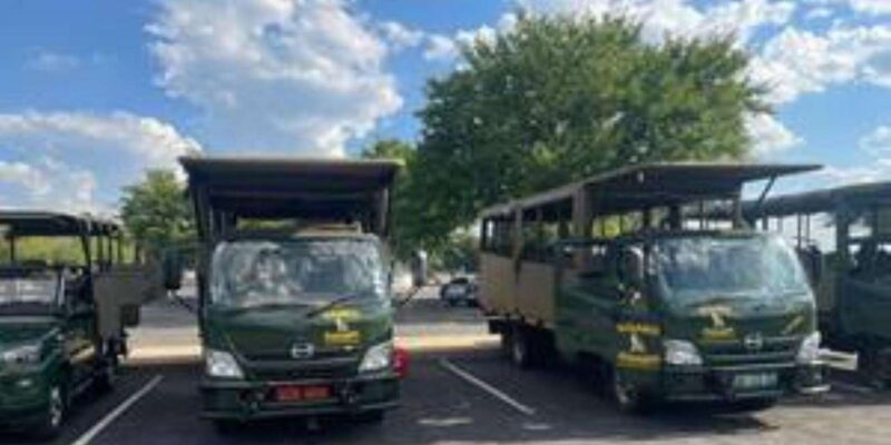 Pilanesberg : Sunset Afternoon Drive - Booking Process