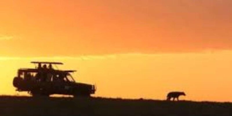 Pilanesberg : Sunset Afternoon Drive - Scenic Vistas