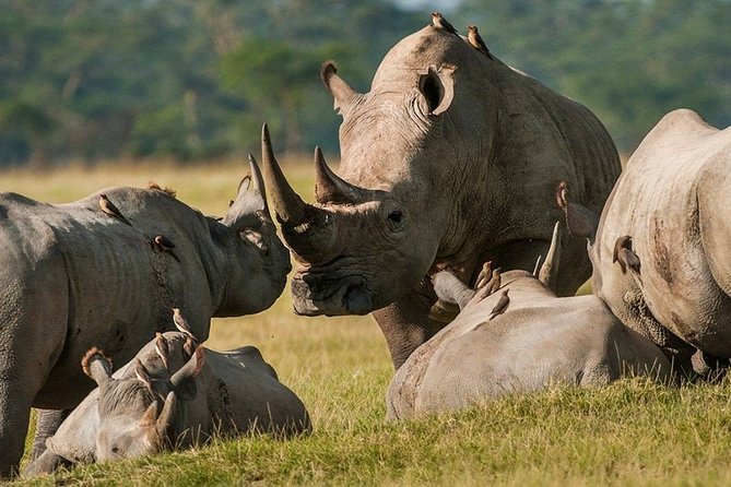 Pilanesberg Wildlife Safari - Tour Group Size and Duration