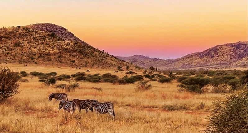 Pilanesburg National Park Tour - Key Points