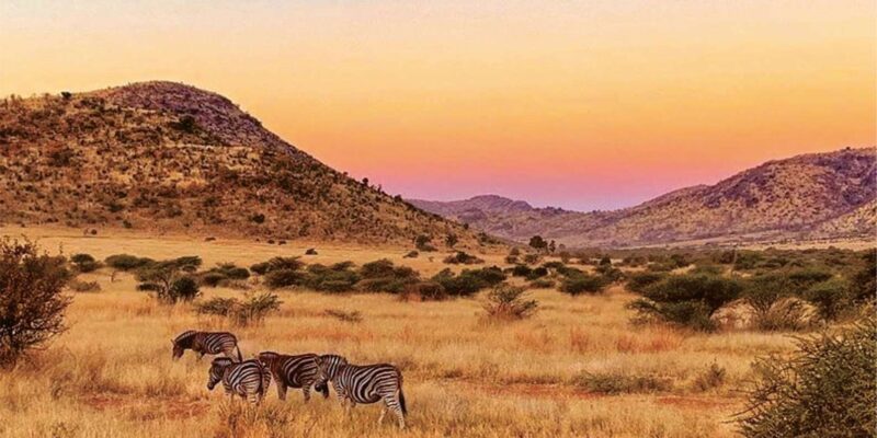 Pilanesburg National Park Tour - Experience and Highlights