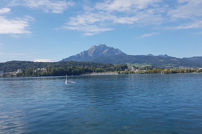 Pilatus Golden Roundtrip: Exclusive Small Group Tour From Luzern - Tour Guide and Customer Experience