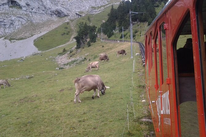 Pilatus Golden Roundtrip: Exclusive Small Group Tour From Luzern - Scenic Aerial Cableway and Gondolas