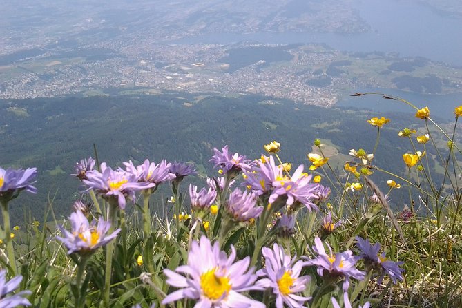 Pilatus Panorama: Exclusive Private Golden Round Trip From Luzern - Inclusions and Exclusions