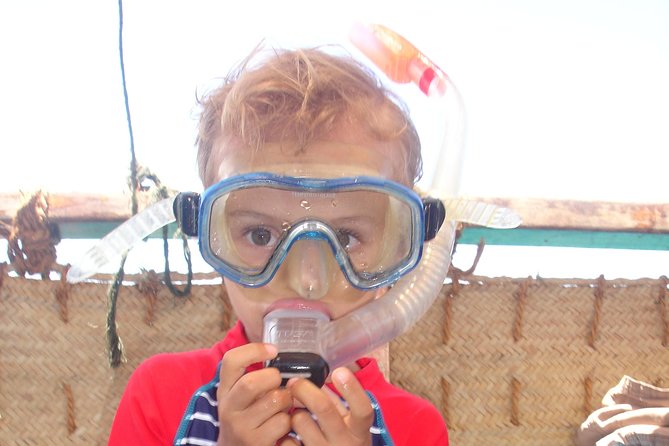 PILLI PIPA Dhow, the Genuine Product, Snorkeling Tour to Kisite Marine Park - Additional Activities and Information