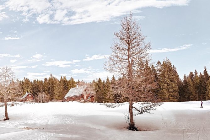 Pilsner Urquell Tour: One of the Worlds Top-Rated Tourist Spot - Suitability for Outdoor Enthusiasts