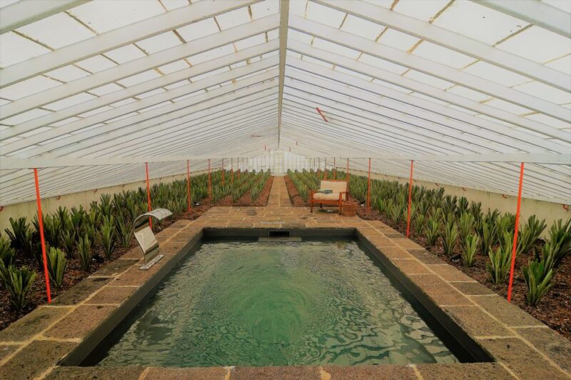 Pineapple Greenhouse Hot Tube and Pineapple Tour - Key Points