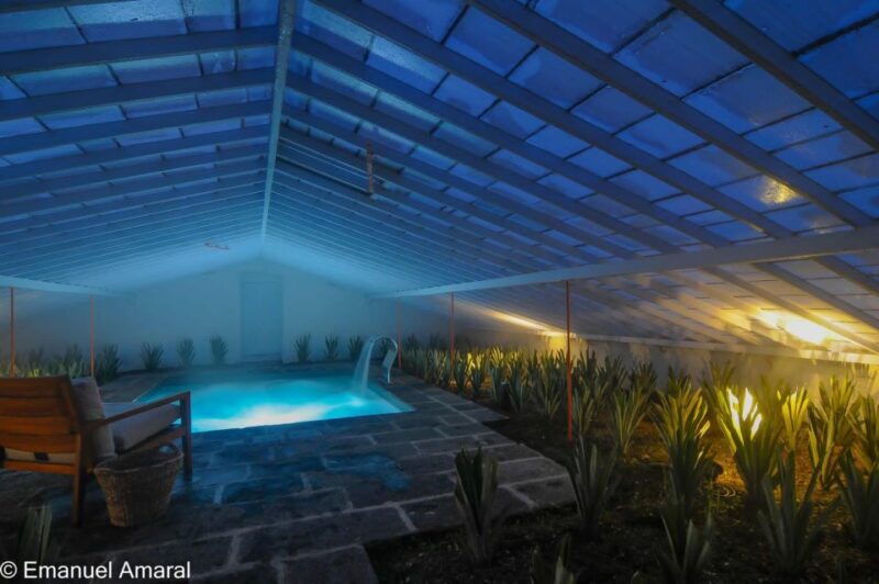 Pineapple Greenhouse Hot Tube and Pineapple Tour - Relaxing Hot Water Pool