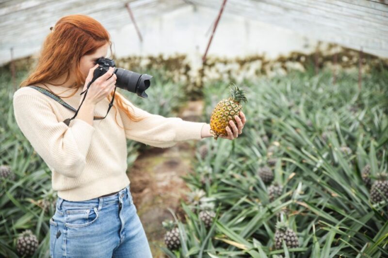 Pineapple Greenhouse Hot Tube and Pineapple Tour - Spa Massages and Cascades