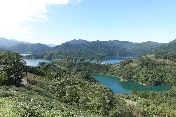 Pinglin Tea Culture & Maokong Day Tour From Taipei - Tour Experience