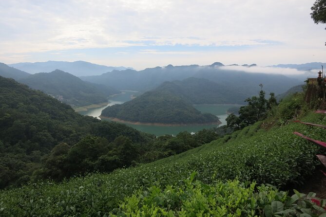Pinglin Tea Culture & Maokong Day Tour From Taipei - Traveler Information