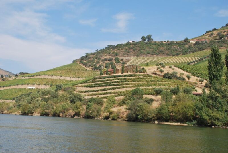 Pinhão: 2-Hour Rabelo Boat Tour With Audio Guide - Experience Highlights