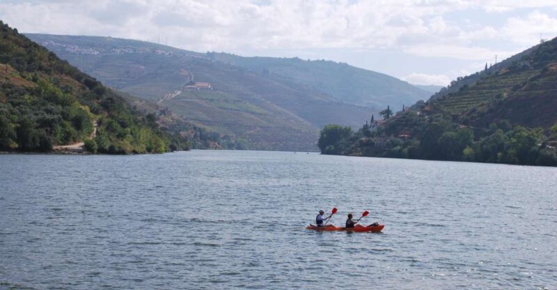 Pinhão: 4 Hour Douro Valley Kayak Rental - Customer Feedback Ratings