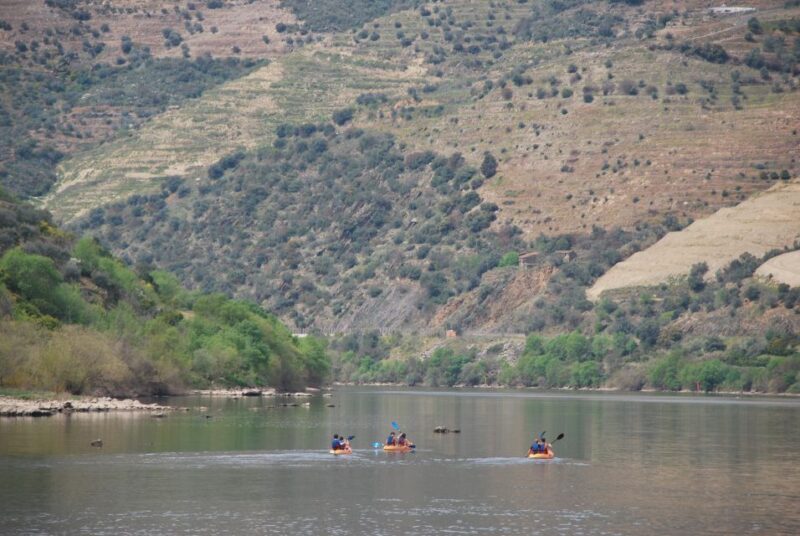 Pinhão: 4 Hour Douro Valley Kayak Rental - Scenic Douro Valley Landscape