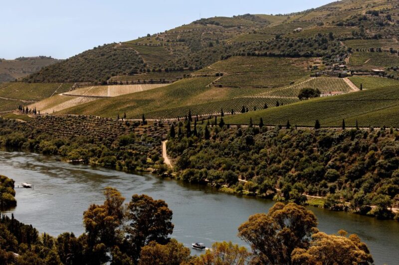 Pinhão: Douro River Boat Tour With Lunch - Customer Reviews and Ratings