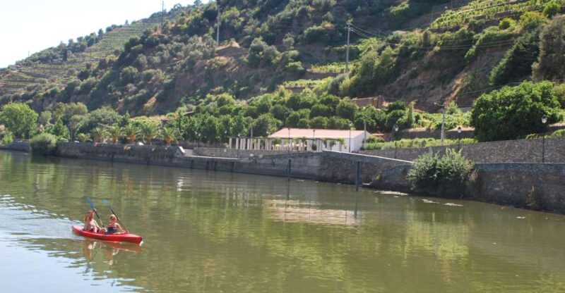 Pinhão: Douro Valley Rabelo Boat Tour and Kayak Experience - Key Points